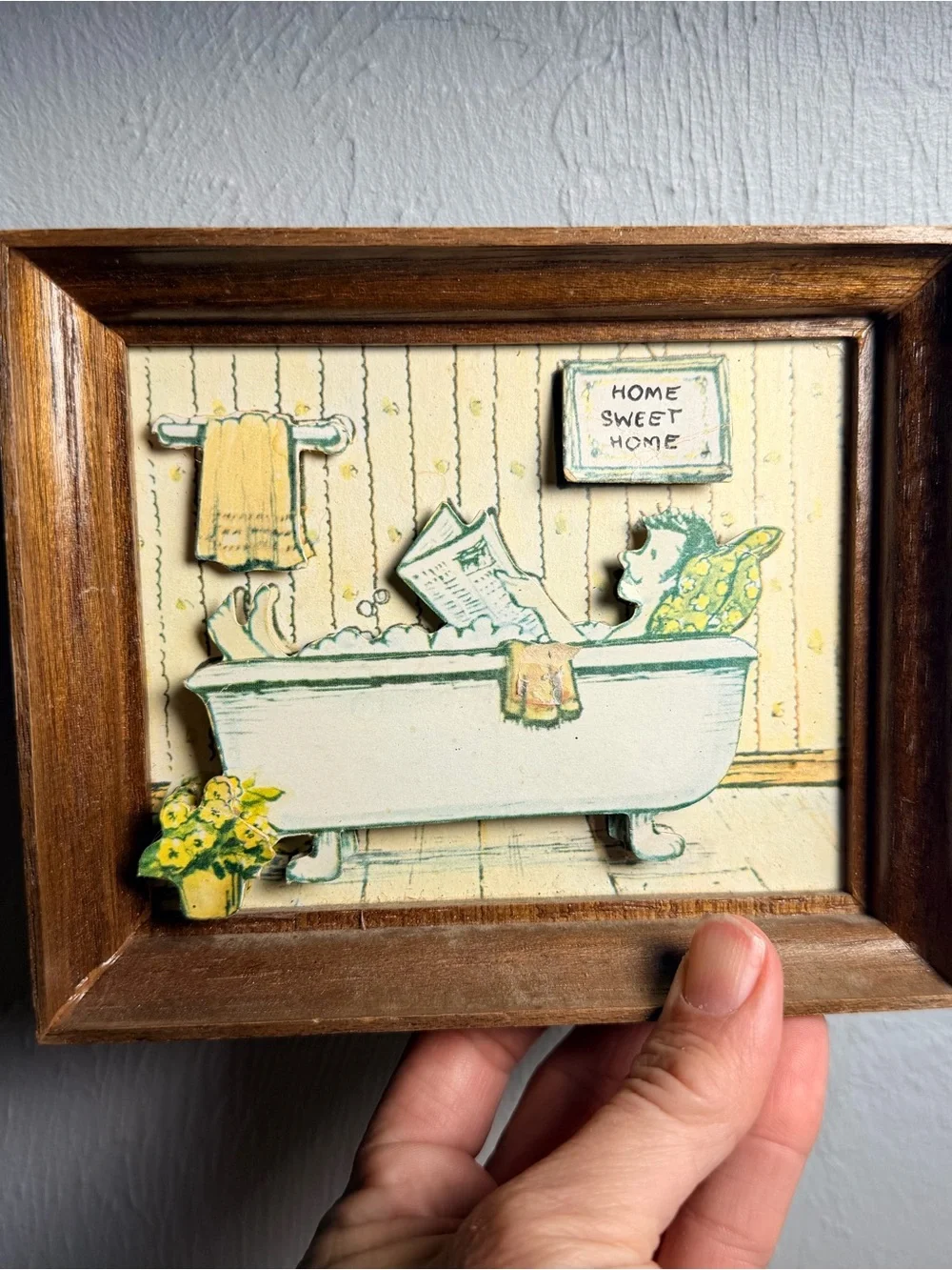 Vintage-1970s Sammy Bowen Shadow Box